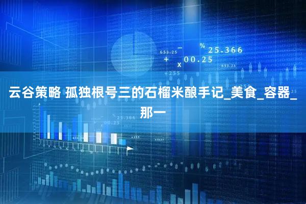 云谷策略 孤独根号三的石榴米酿手记_美食_容器_那一