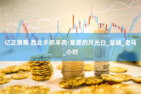 亿正策略 西北手抓羊肉·草原的月光白_盐碱_老马_小时