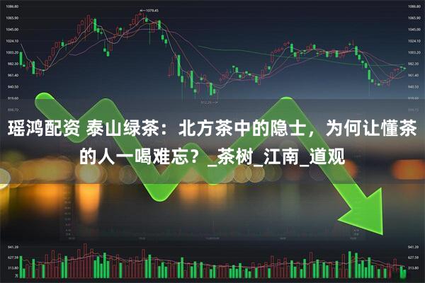 瑶鸿配资 泰山绿茶：北方茶中的隐士，为何让懂茶的人一喝难忘？_茶树_江南_道观