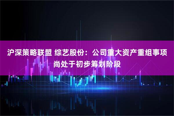 沪深策略联盟 综艺股份：公司重大资产重组事项尚处于初步筹划阶段