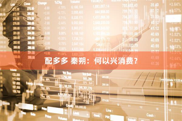 配多多 秦朔：何以兴消费？