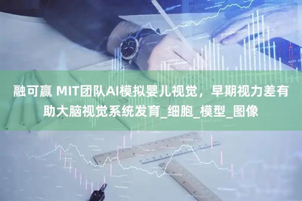 融可赢 MIT团队AI模拟婴儿视觉，早期视力差有助大脑视觉系统发育_细胞_模型_图像
