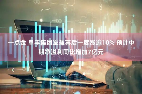 一点金 阜丰集团发盈喜后一度涨逾10% 预计中期净溢利同比增加7亿元