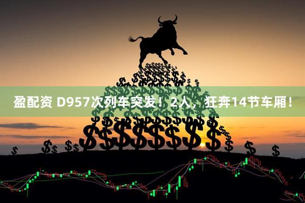 盈配资 D957次列车突发！2人，狂奔14节车厢！