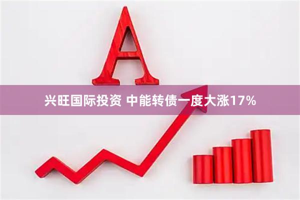 兴旺国际投资 中能转债一度大涨17%