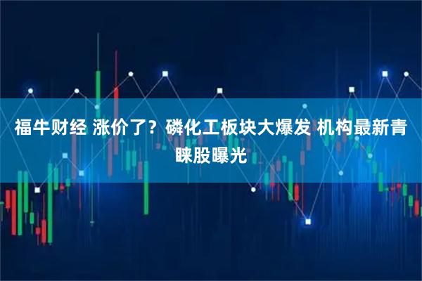 福牛财经 涨价了？磷化工板块大爆发 机构最新青睐股曝光