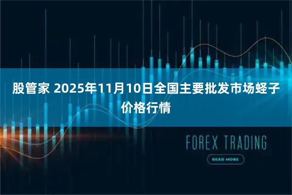 股管家 2025年11月10日全国主要批发市场蛏子价格行情