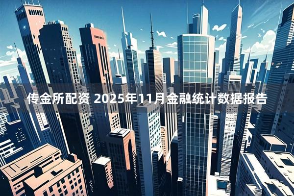 传金所配资 2025年11月金融统计数据报告